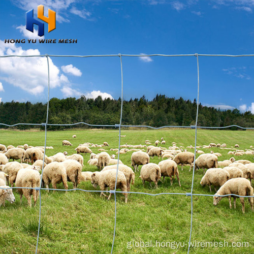 Farm Fence welded wire mesh metal posts farm fence Supplier